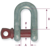 Alloy galvanize dee shackle - high tensile